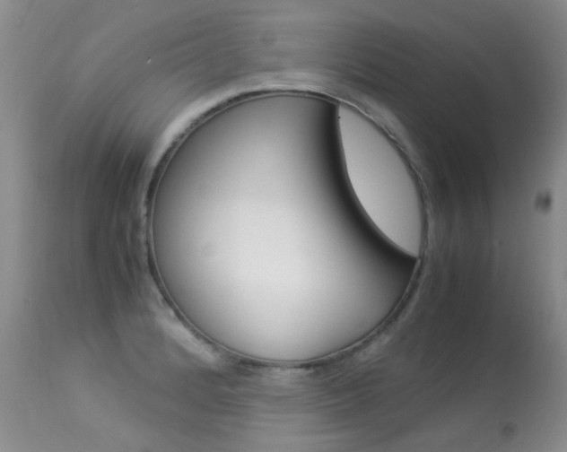X0000113291184200909140957