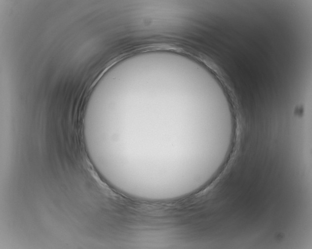 X0000113291185200909140957