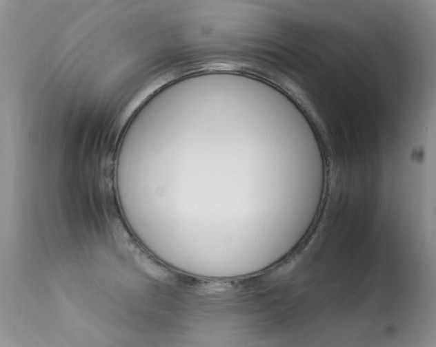X0000113291186200909140957