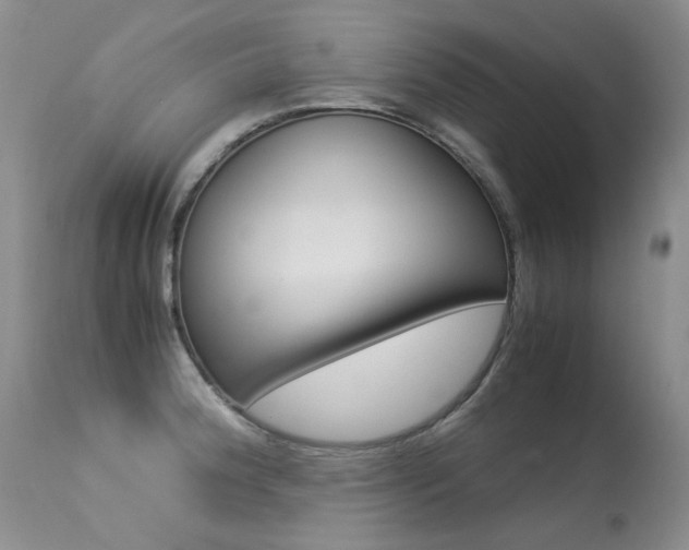 X0000113291188200909140957