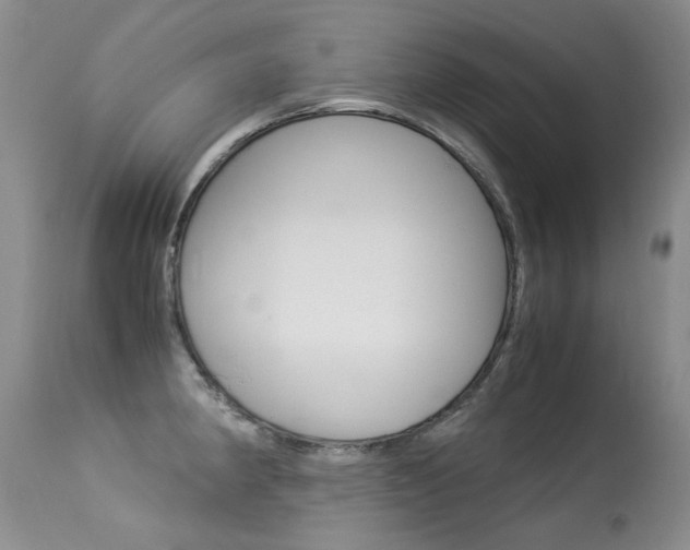 X0000113291190200909140957