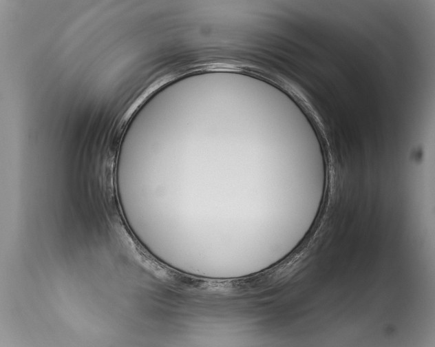 X0000113291194200909140957