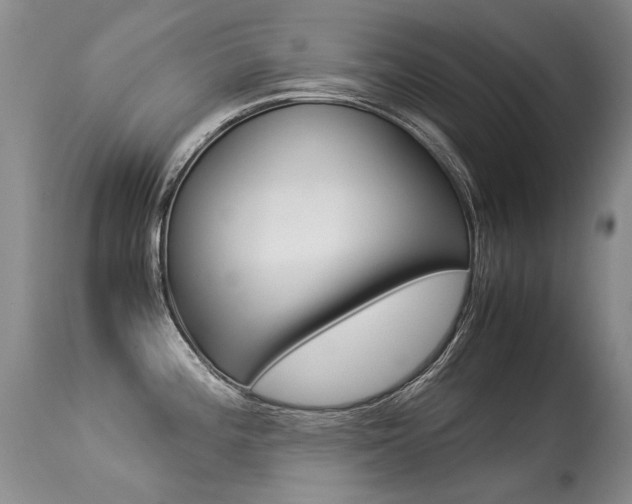 X0000113291196200909140957