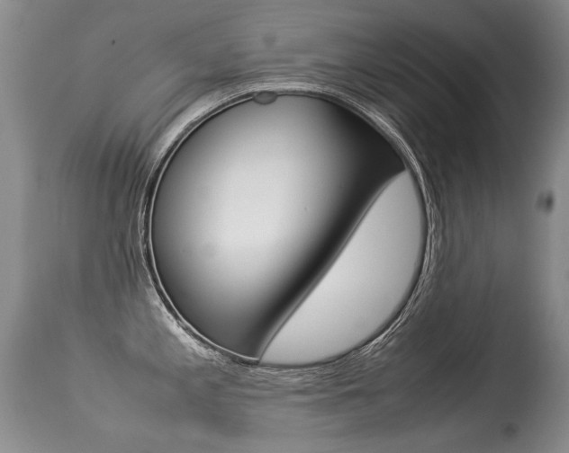 X0000113291197200909140957