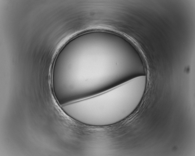 X0000113291199200909140957