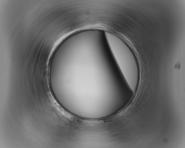 X0000113291200200909140957