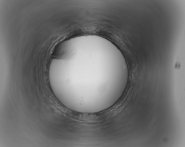 X0000113291201200909140956
