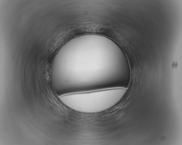 X0000113291202200909140956