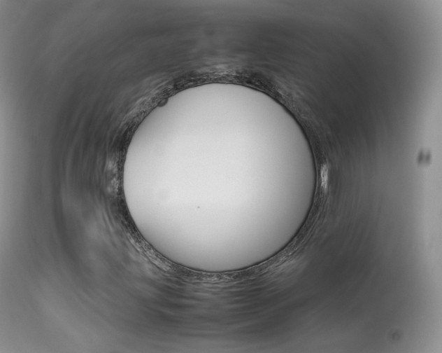 X0000113291203200909140956