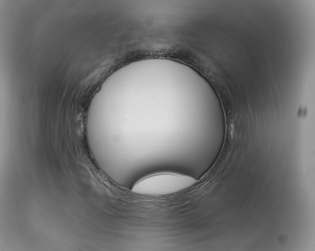 X0000113291204200909140956