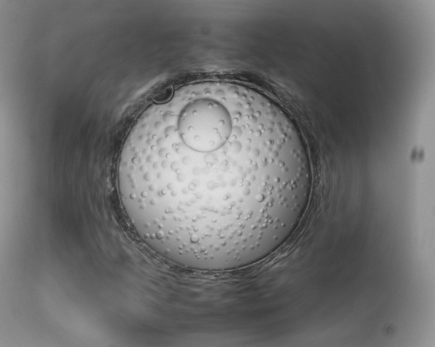 X0000113291205200909140956