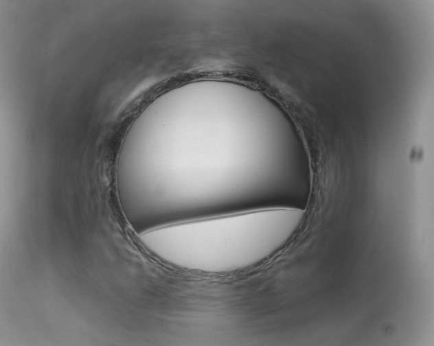 X0000113291206200909140956