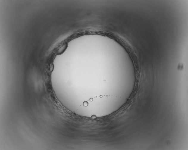 X0000113291207200909140956