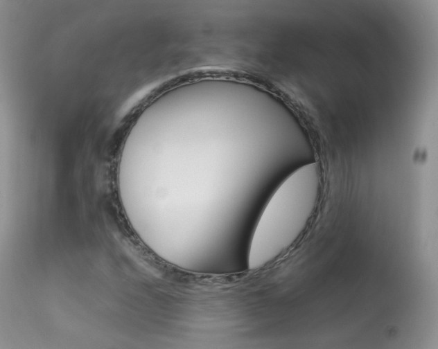 X0000113291208200909140956