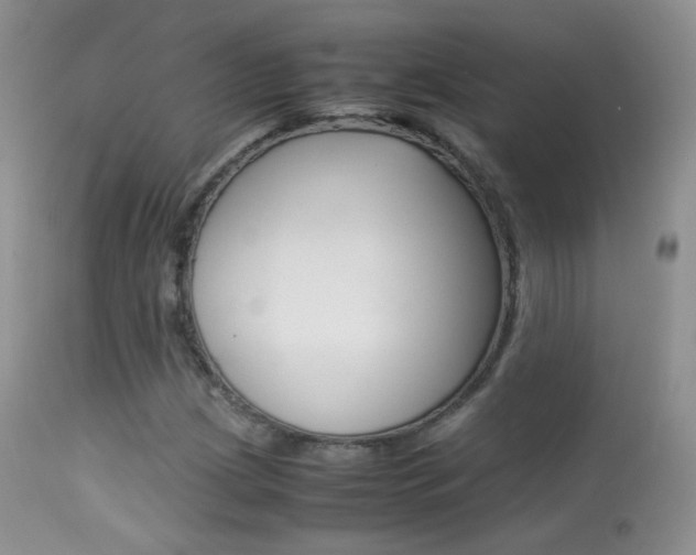 X0000113291209200909140956