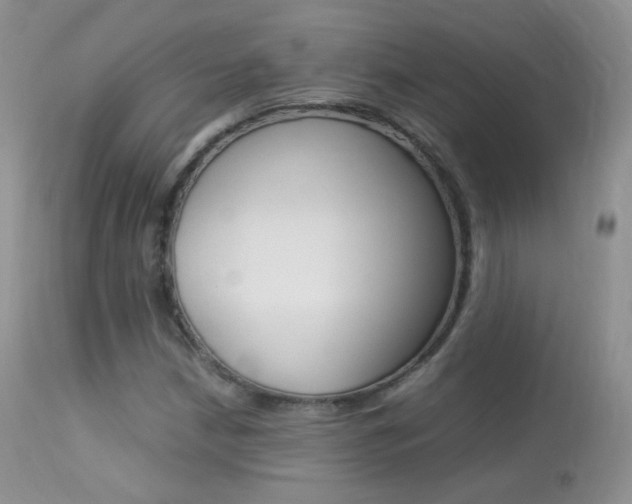 X0000113291210200909140956
