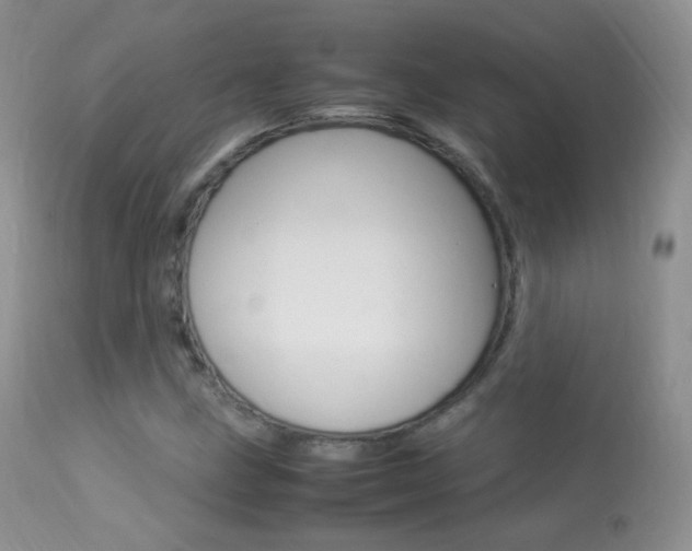 X0000113291211200909140956