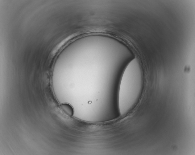 X0000113291212200909140956