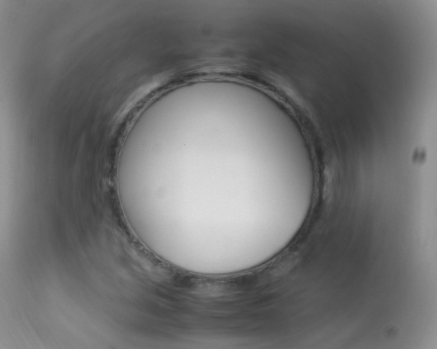 X0000113291213200909140956