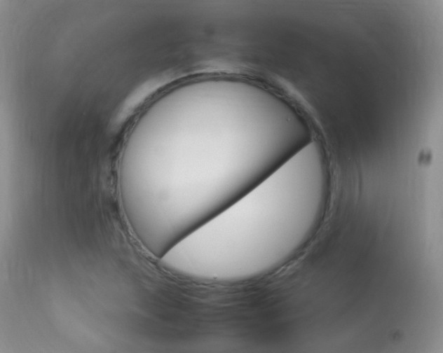 X0000113291215200909140957