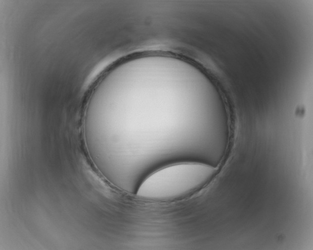 X0000113291216200909140957