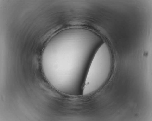 X0000113291217200909140957