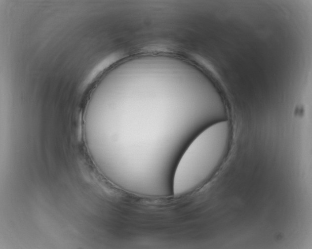 X0000113291219200909140957