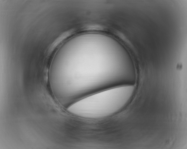 X0000113291221200909140957