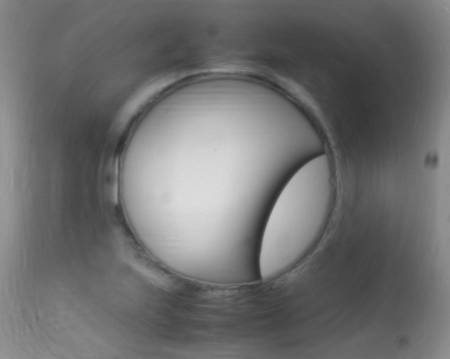 X0000113291223200909140957