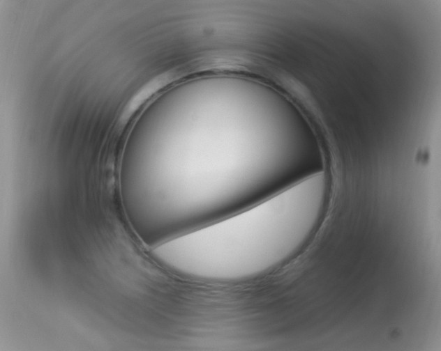 X0000113291226200909140957