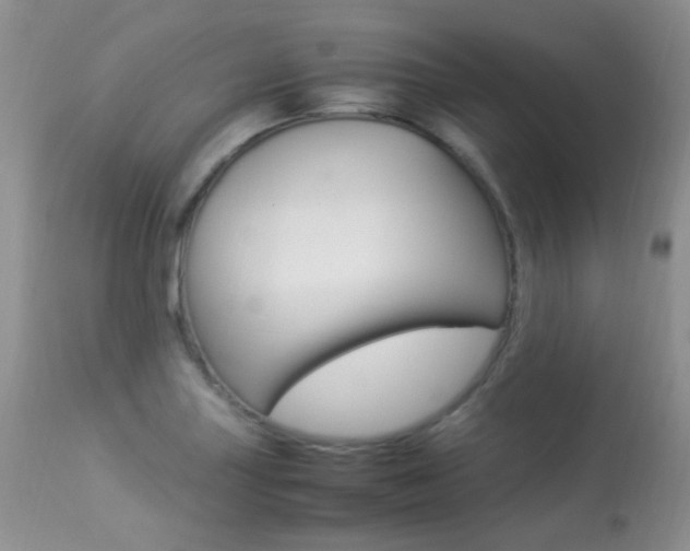 X0000113291227200909140957