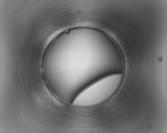 X0000113291230200909140957