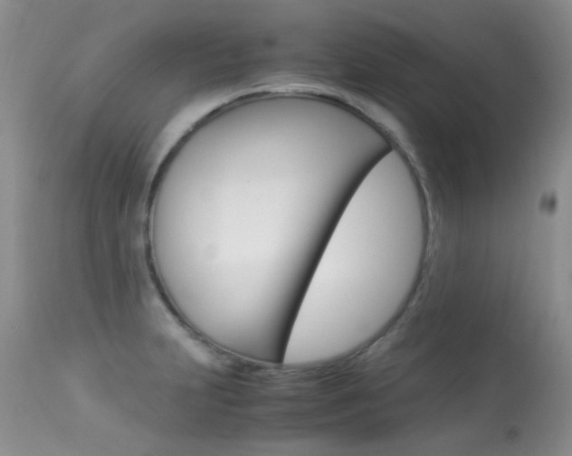 X0000113291231200909140957
