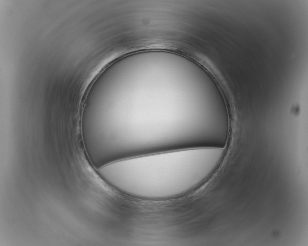 X0000113291236200909140957