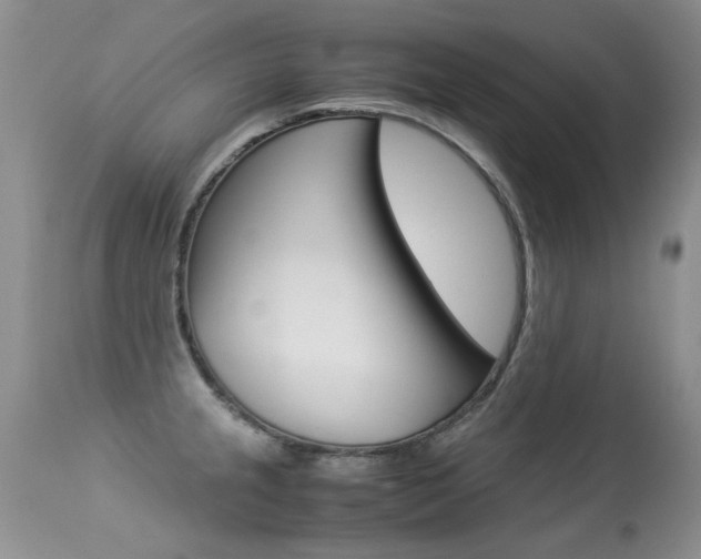 X0000113291237200909140957