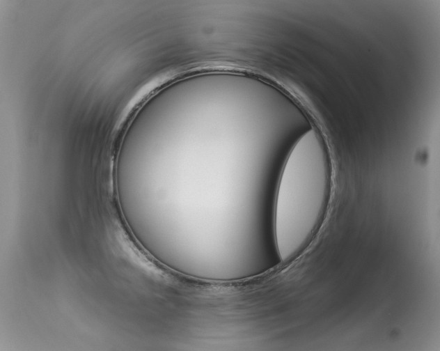 X0000113291238200909140957