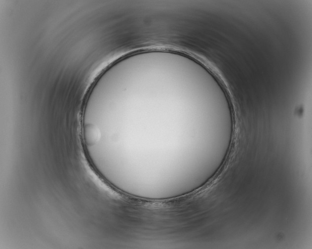 X0000113291239200909140957