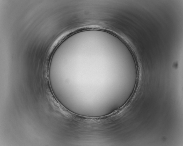 X0000113291240200909140957