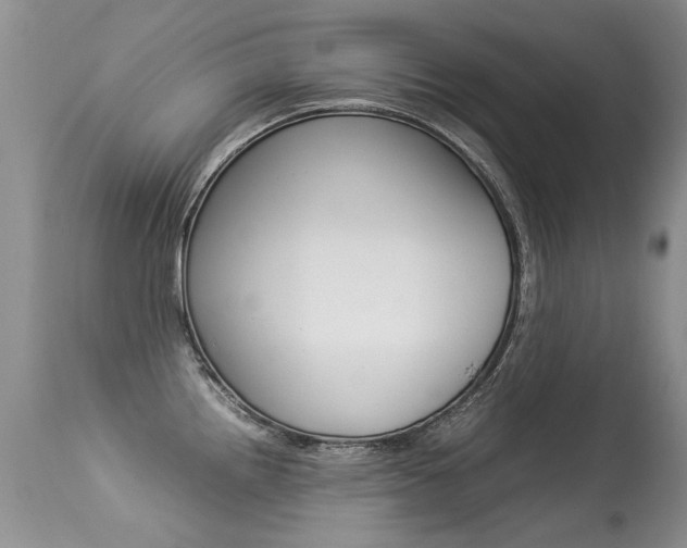 X0000113291242200909140957