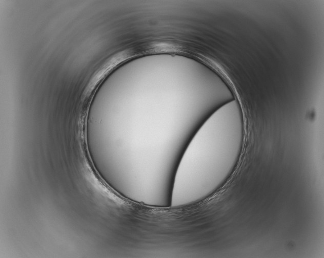 X0000113291243200909140957