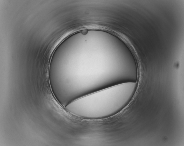 X0000113291244200909140957