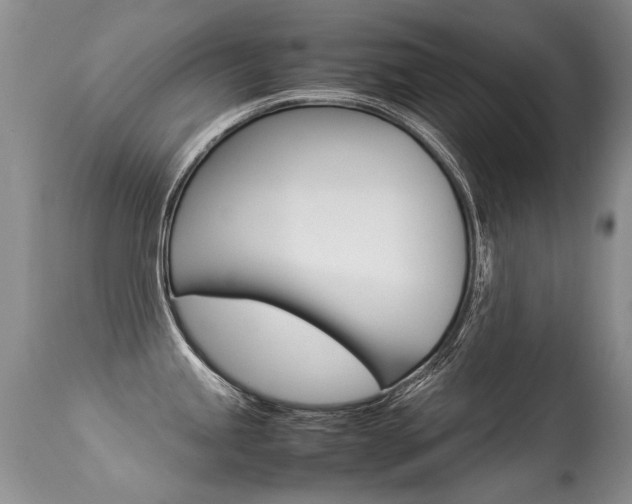 X0000113291245200909140957
