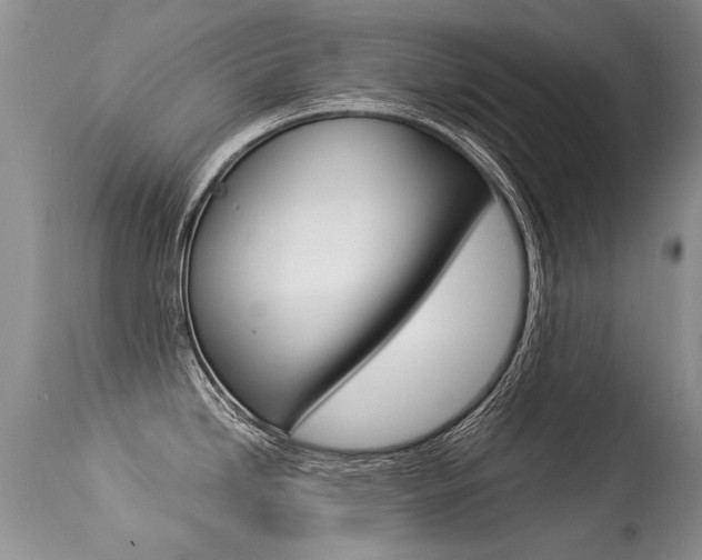 X0000113291246200909140957