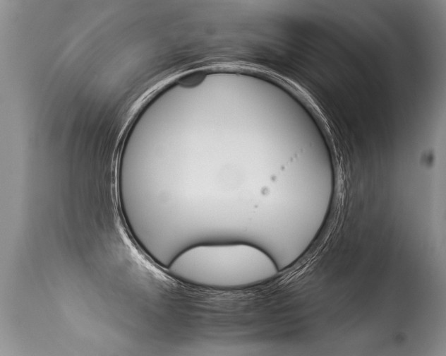 X0000113291247200909140957