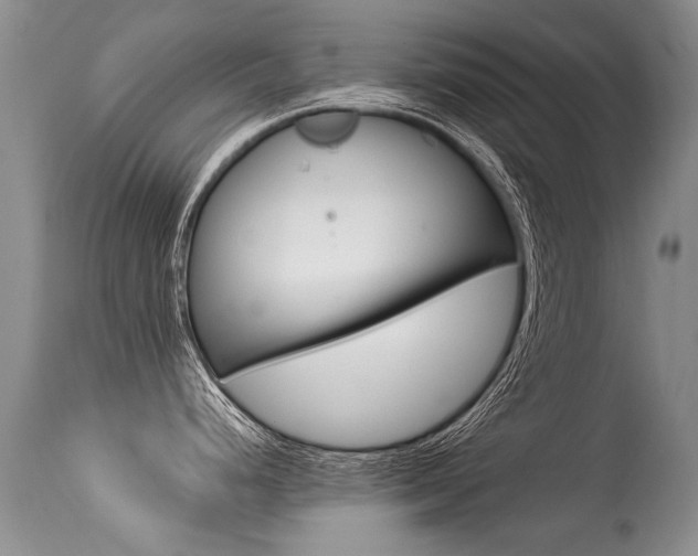 X0000113291248200909140957