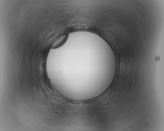 X0000113291250200909140956