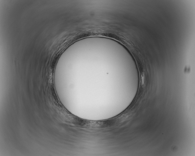 X0000113291251200909140956