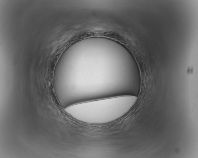 X0000113291253200909140956