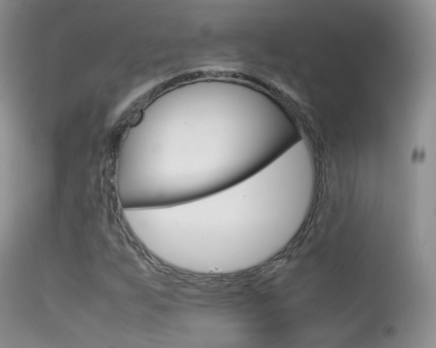 X0000113291255200909140956