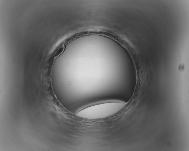 X0000113291256200909140956